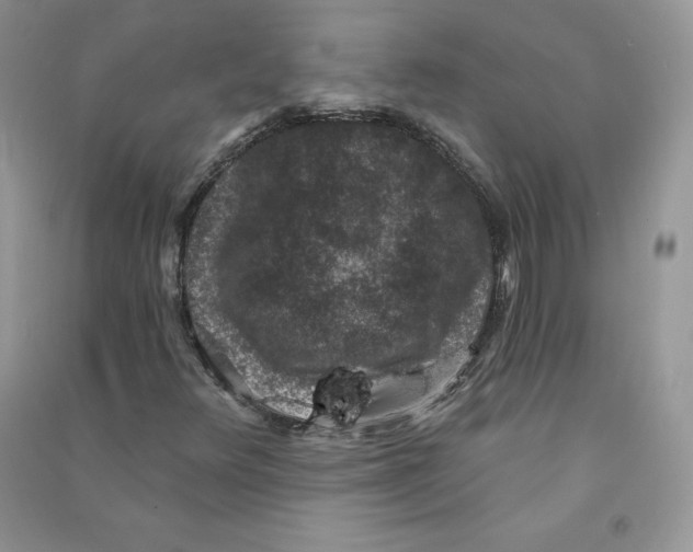 X0000090731348200708171939