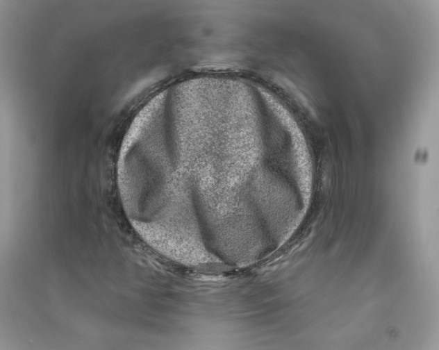 X0000090731350200708171939