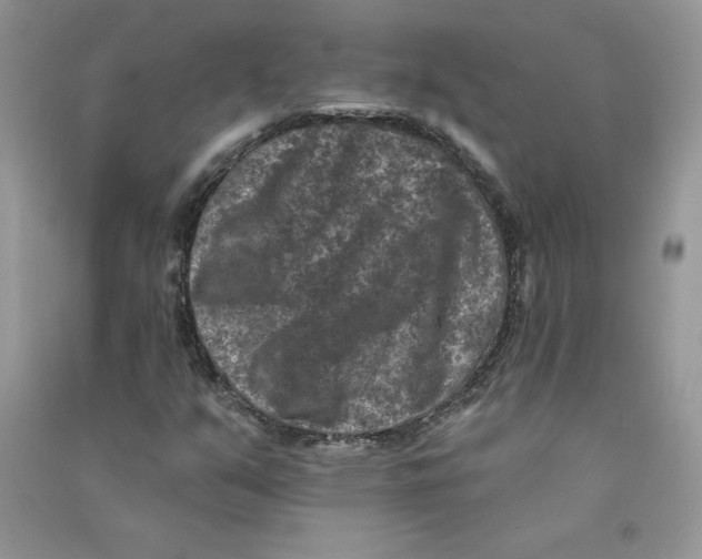 X0000090731351200708171939