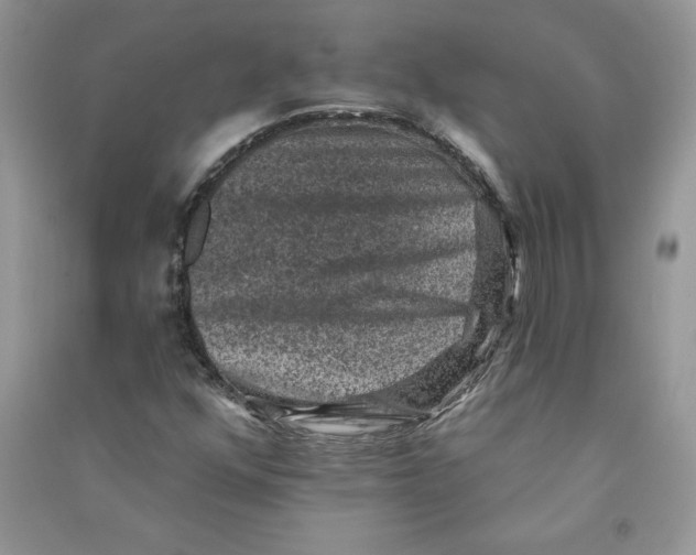 X0000090731352200708171939