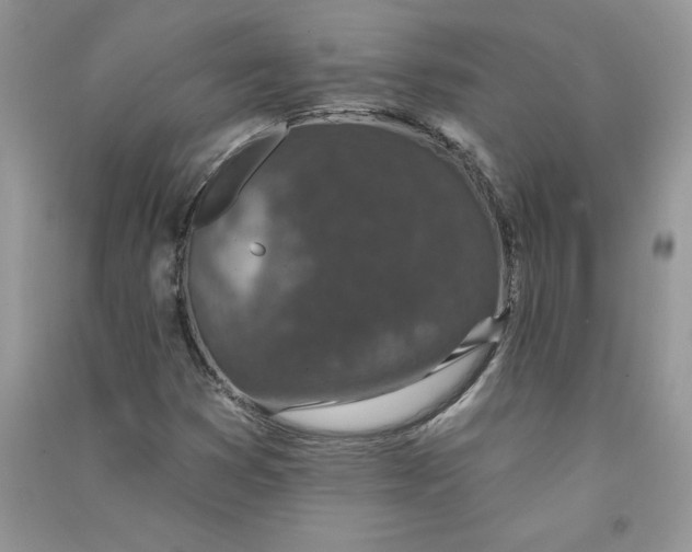 X0000090731353200708171939