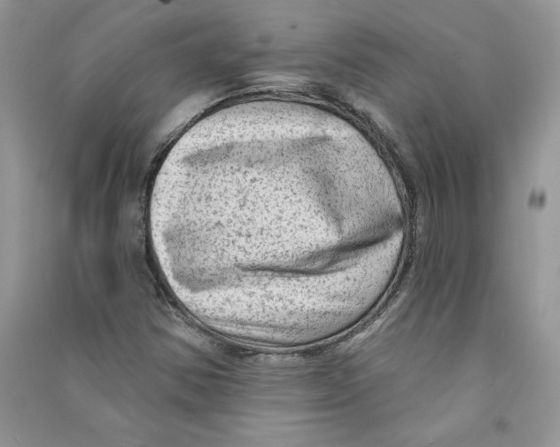 X0000090731354200708171939