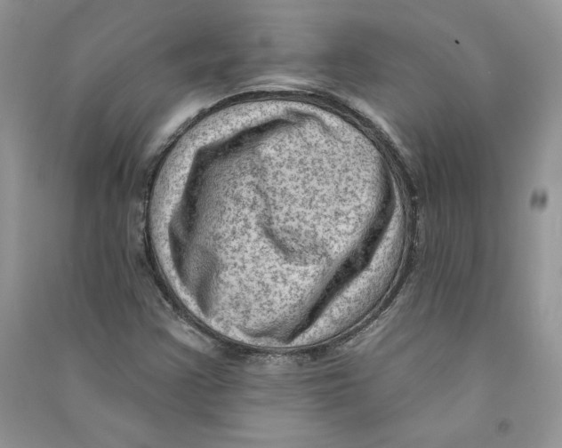 X0000090731355200708171939