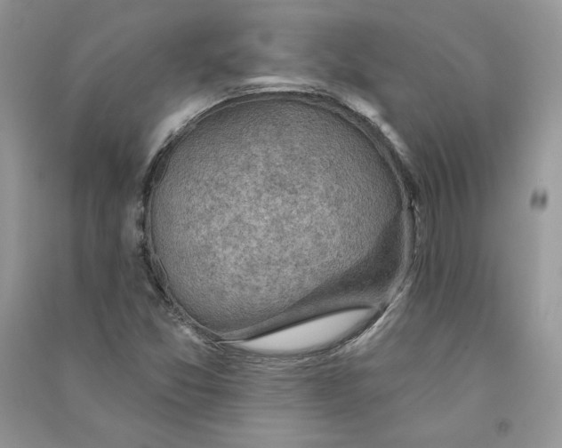 X0000090731357200708171939