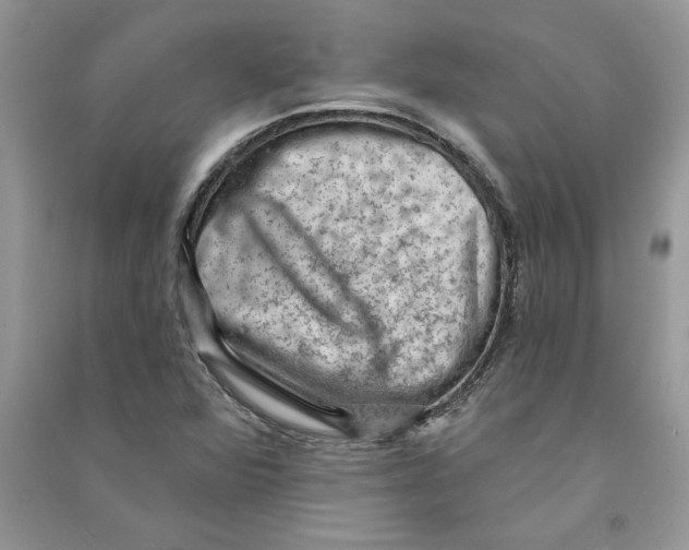 X0000090731360200708171939