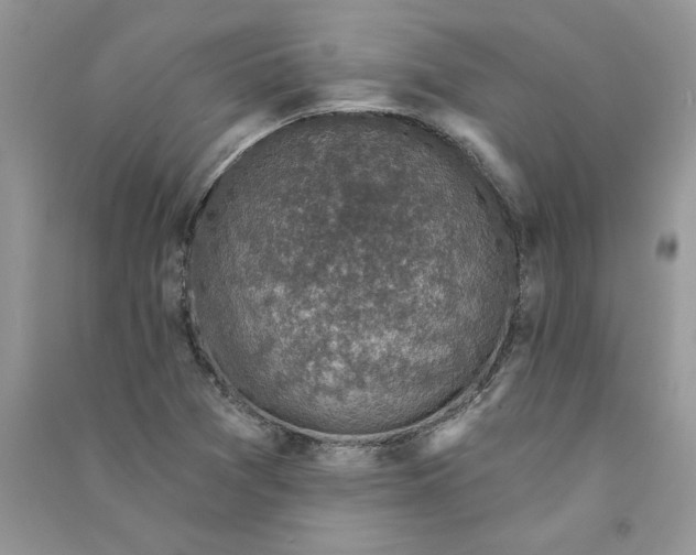 X0000090731361200708171939