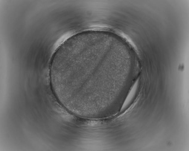 X0000090731362200708171939