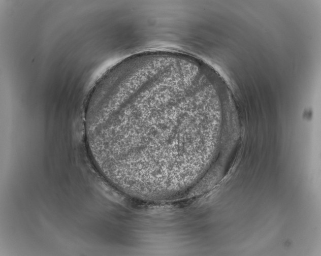 X0000090731363200708171939