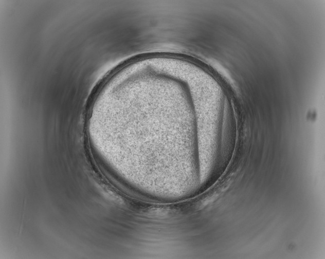 X0000090731364200708171939