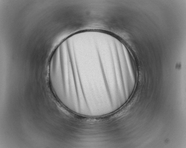 X0000090731366200708171939