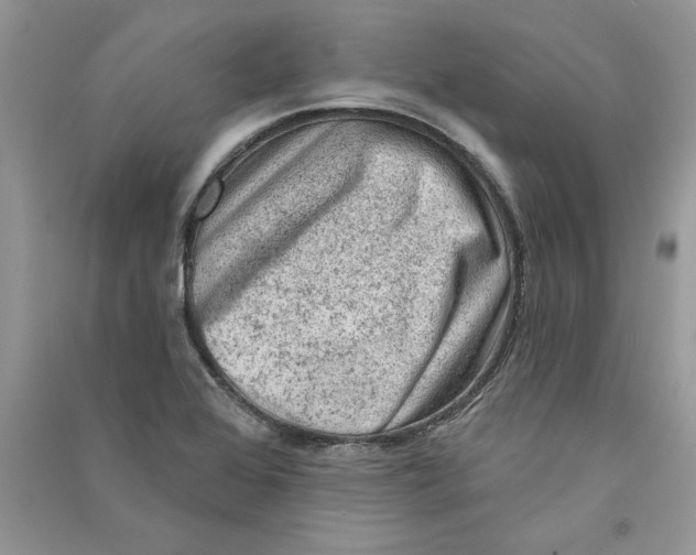 X0000090731368200708171939