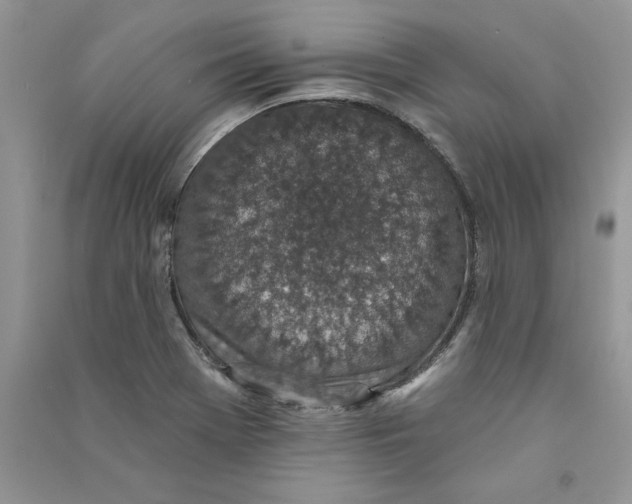 X0000090731369200708171939