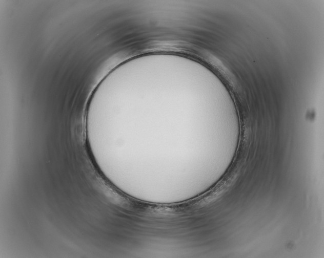 X0000090731370200708171938