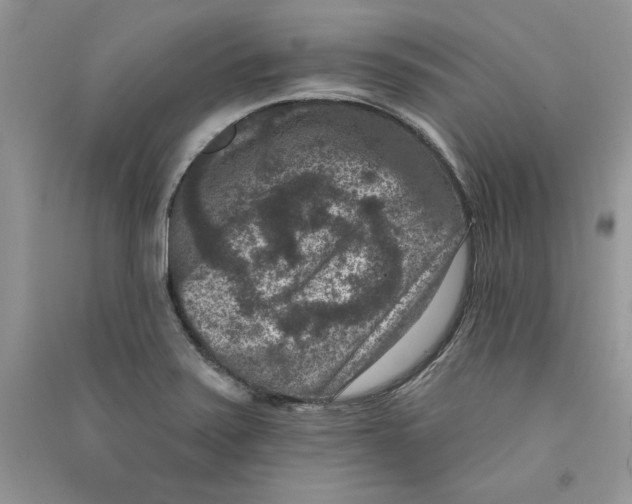 X0000090731371200708171938