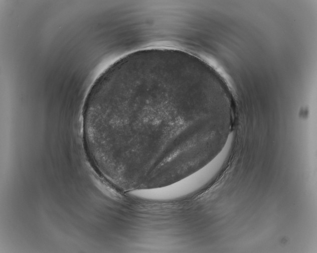 X0000090731372200708171938