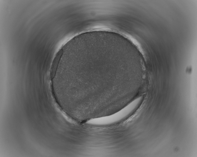 X0000090731373200708171938