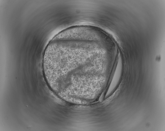 X0000090731374200708171938