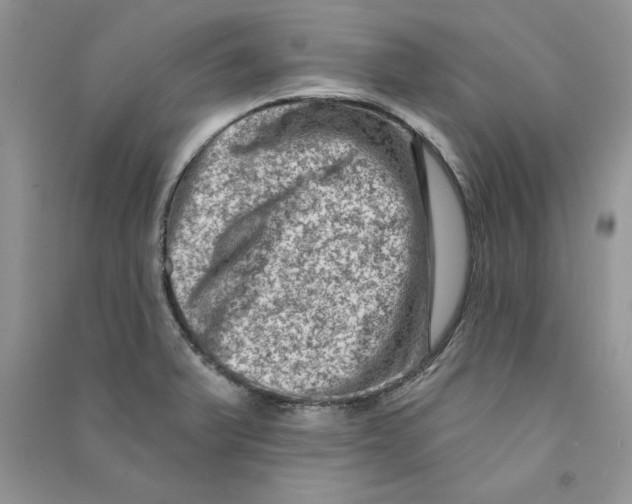 X0000090731375200708171938