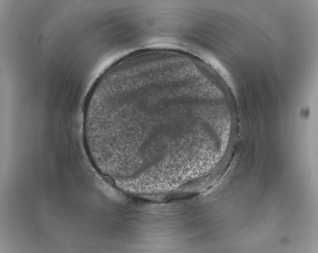 X0000090731376200708171938