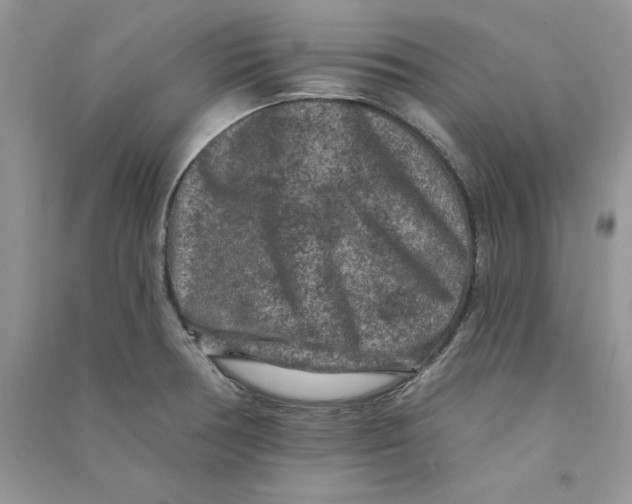 X0000090731378200708171938