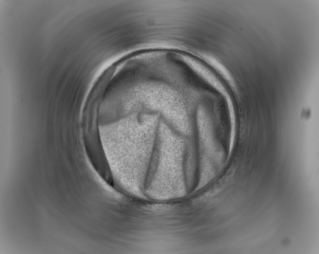 X0000090731380200708171938