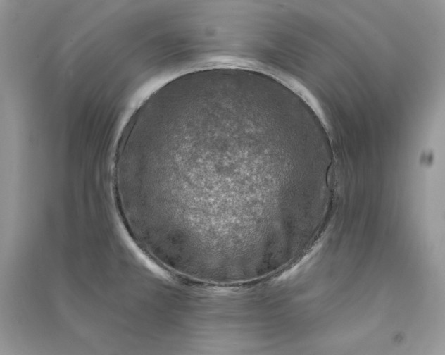 X0000090731381200708171938