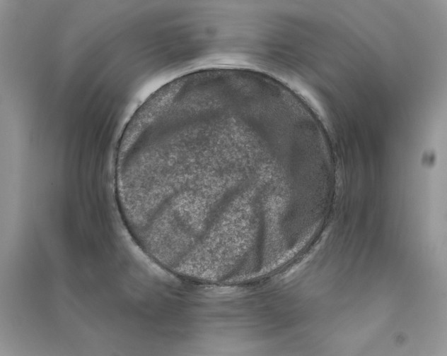 X0000090731382200708171938