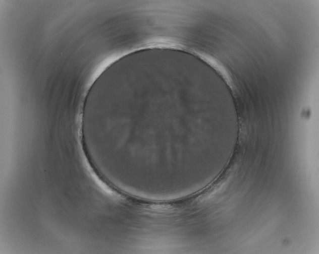 X0000090731383200708171938