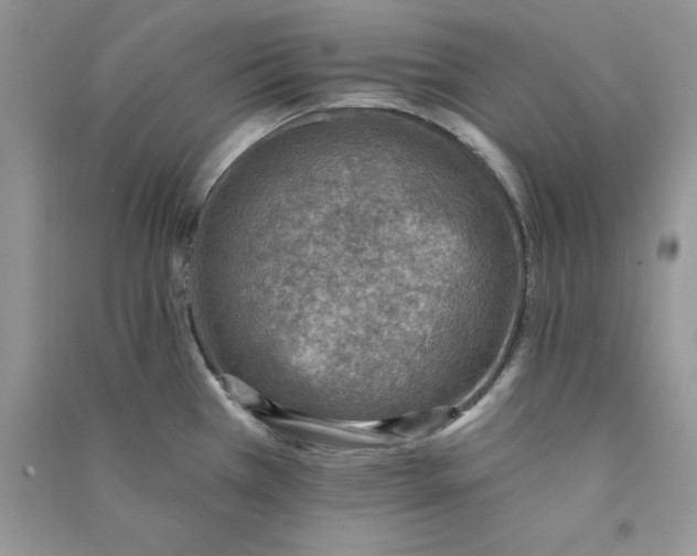 X0000090731385200708171938