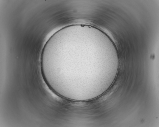 X0000090731387200708171938