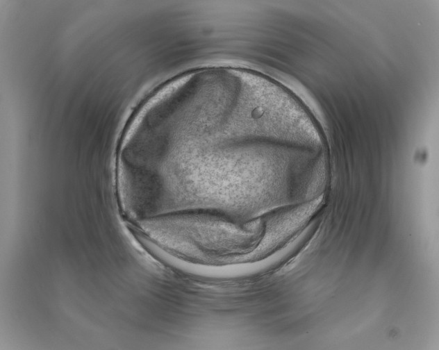 X0000090731388200708171938