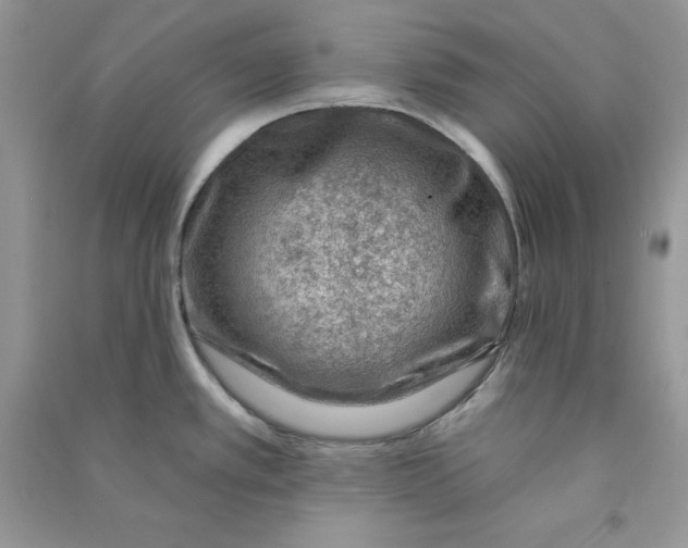 X0000090731389200708171938