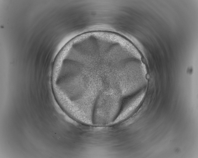 X0000090731390200708171938