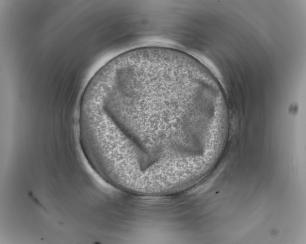 X0000090731391200708171938