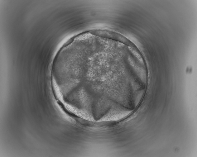 X0000090731392200708171938