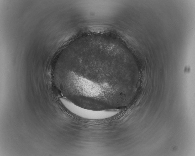 X0000090731394200708171938