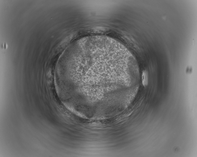 X0000090731395200708171938