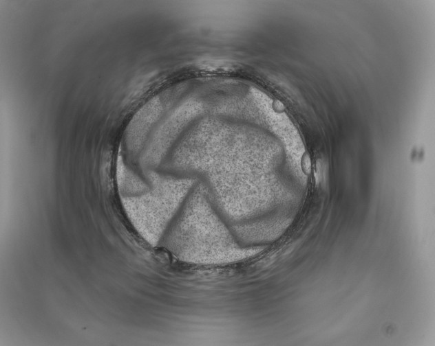 X0000090731396200708171938