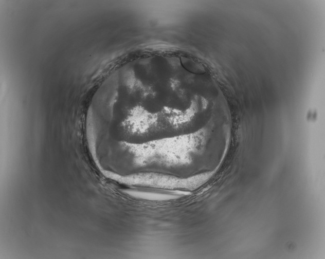 X0000090731397200708171938