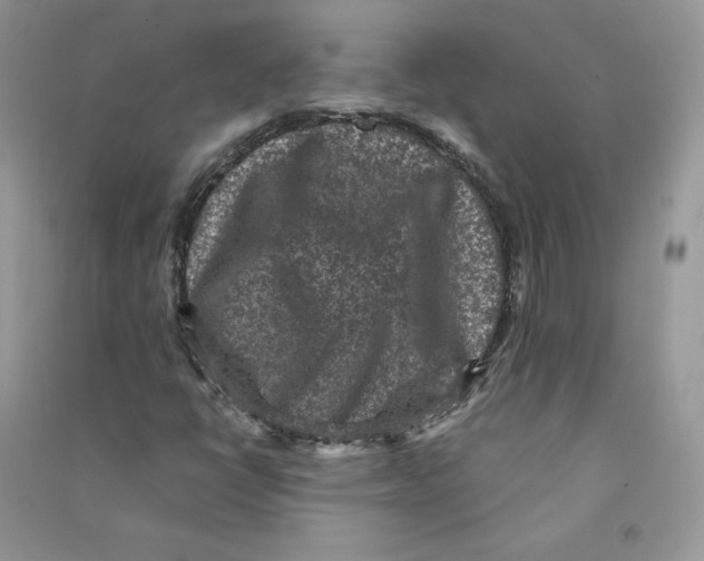 X0000090731398200708171938