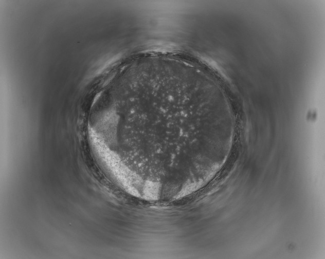 X0000090731399200708171938