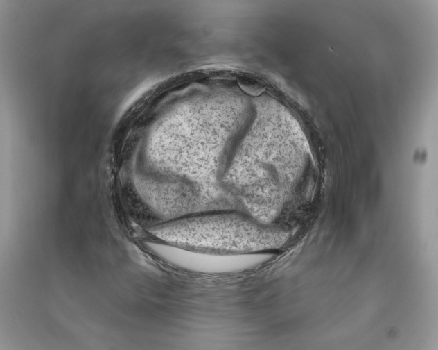 X0000090731400200708171938