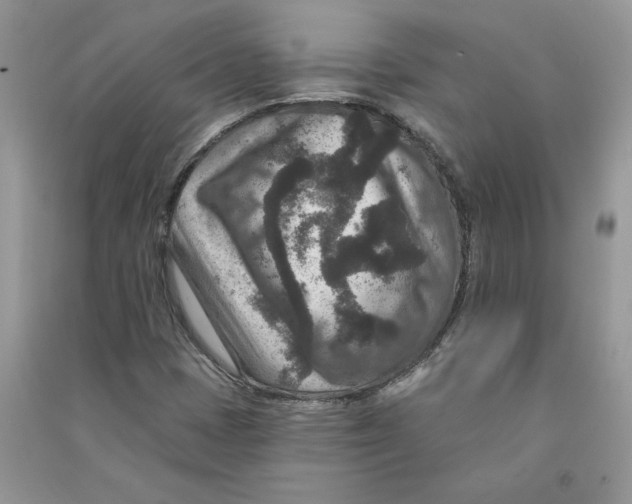 X0000090731401200708171938