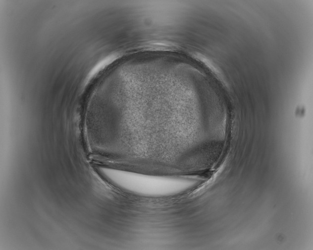 X0000090731402200708171938