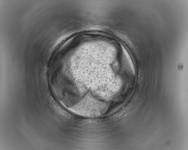 X0000090731404200708171938