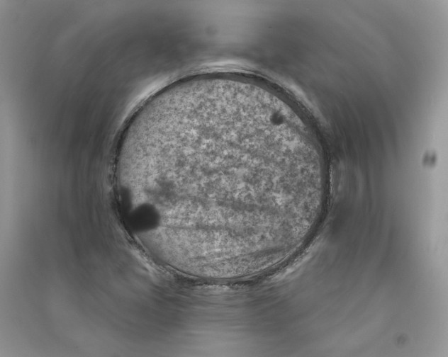 X0000090731405200708171938