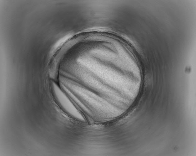 X0000090731406200708171938