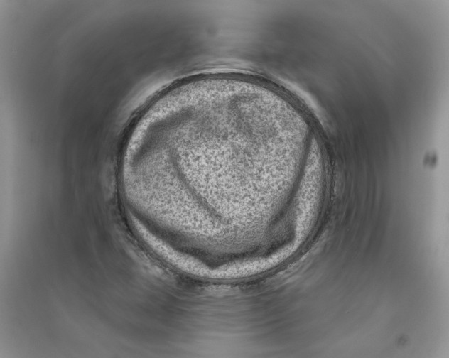 X0000090731407200708171938