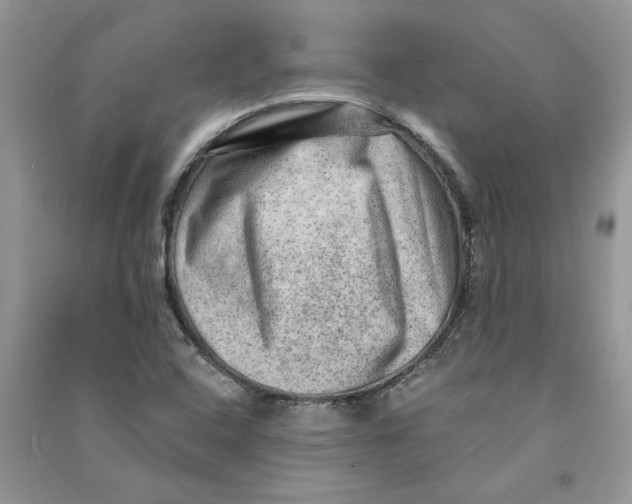 X0000090731408200708171938