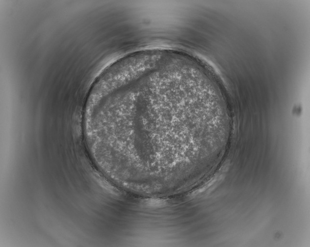 X0000090731409200708171938